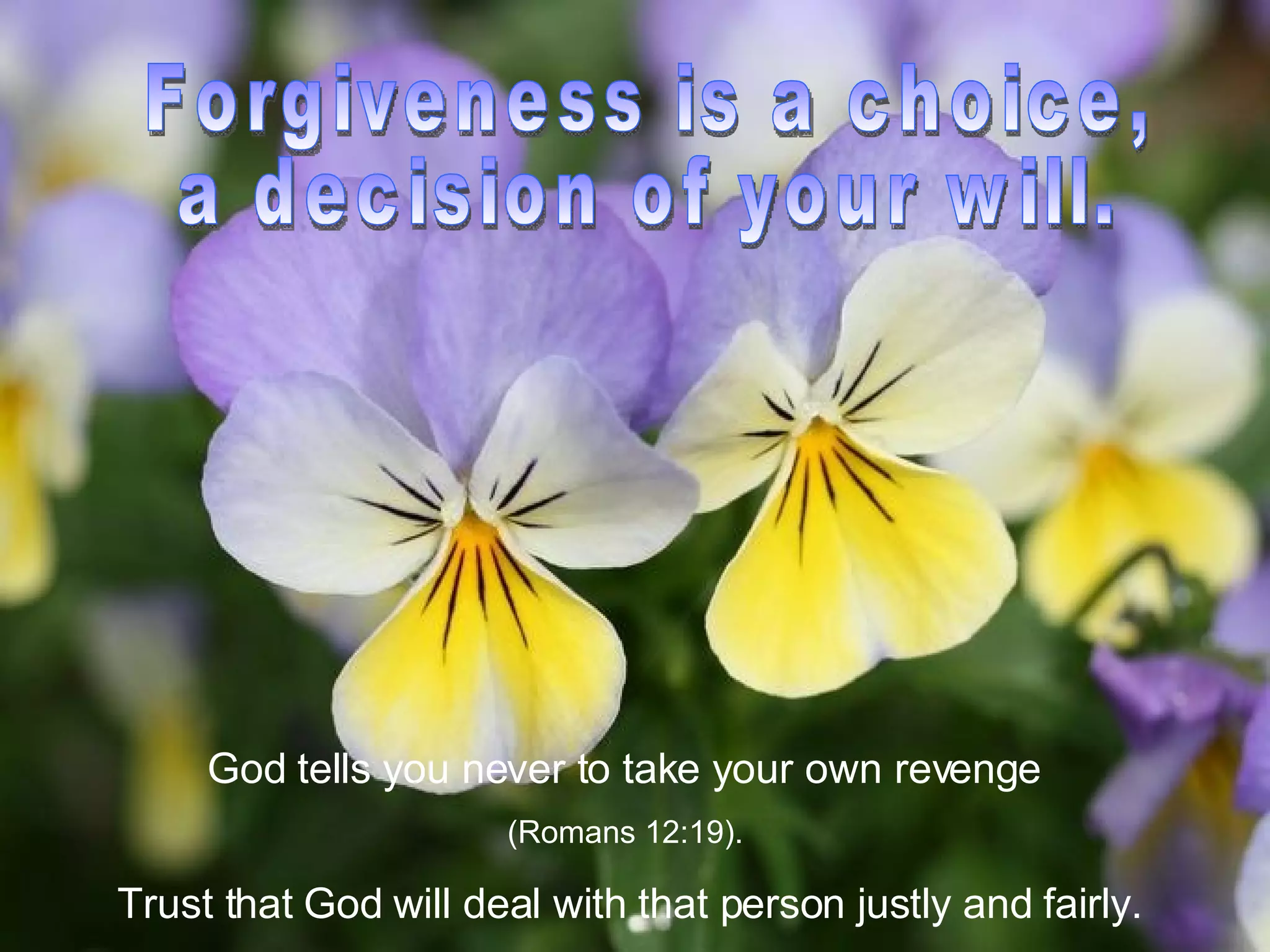 Forgiveness is a choice,  a decision of your will.  God tells you never to take your own revenge  (Romans 12:19).  Trust that God will deal with that person justly and fairly. 