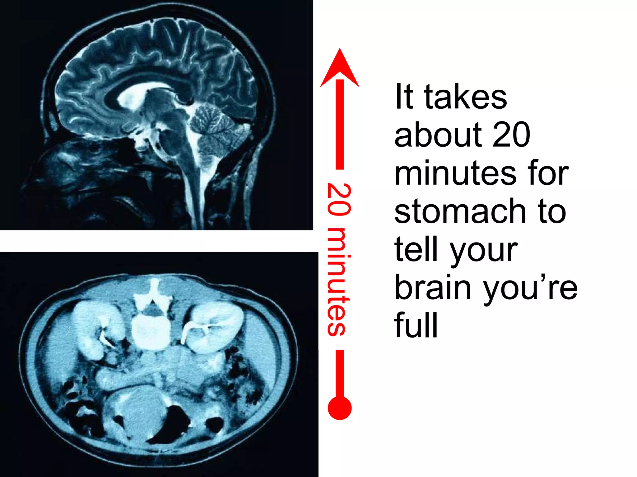 It takes about 20 minutes for stomach to tell your brain you’re full   20 minutes 