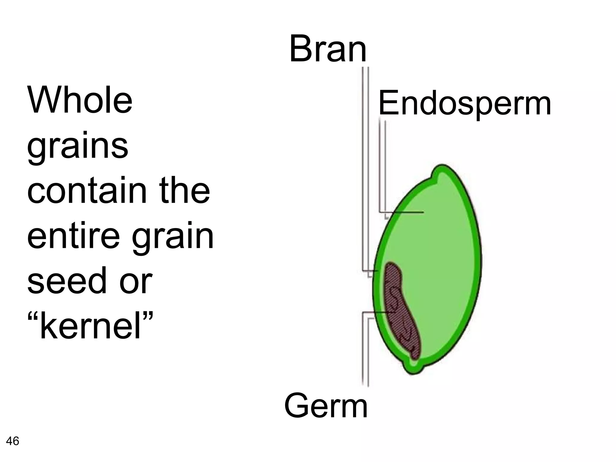 Whole grains contain the entire grain seed or “kernel” Bran Endosperm Germ 