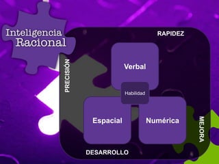 Verbal
Espacial Numérica
RAPIDEZ
PRECISIÓN
DESARROLLO
MEJORA
Habilidad
 