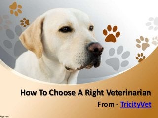How To Choose A Right Veterinarian
From - TricityVet
 