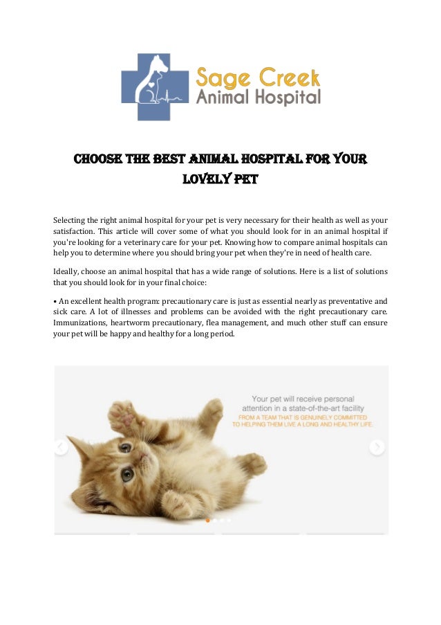 solutions veterinary hospital