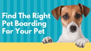 Find The Right
Pet Boarding
For Your Pet
 