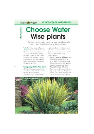 rand water 32-53                  8/6/04      10:08 am     Page 46




                                                        CREATE A WATER WISE GARDEN



                         Choose Water
   Plant selection




                          Wise plants
                             There are many beautiful plants which are naturally drought
                               resistant and require little watering once established


                     W        ater Wise gardens focus on
                              plant varieties that thrive with
                     little water. However, no plant is
                                                                 make a well informed decision as to
                                                                 whether a particular plant is suitable
                                                                 for the low water zone in your garden.
                     ‘wrong’ in a Water Wise garden – it         Watch out for the following
                     just needs to be in the right zone to       characteristics:
                     use water most efficiently. You can         • Small or needle-like leaves. This
                     select exotic as well as indigenous            minimises the surface area from
                     plants, as long as you plant them in           which water is lost by evaporation.
                     the appropriate zone.                          Examples are ericas, most acacias,
                                                                    rosemary, origanum and thyme.
                     Recognising Water Wise plants               • Reduced number of leaves.
                     All Water Wise plants have certain             Some plants reduce moisture loss by
                     characteristics that make them water           dispensing with leaves altogether, or
                     efficient. By knowing these                    shedding their leaves during drought
                     characteristics, you will be able to           periods. Examples of the latter are

                      New Zealand flaxes have
                      sturdy internal structures.
 