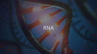 RNA
 