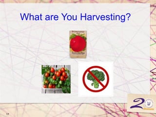 17
What are You Harvesting?
 