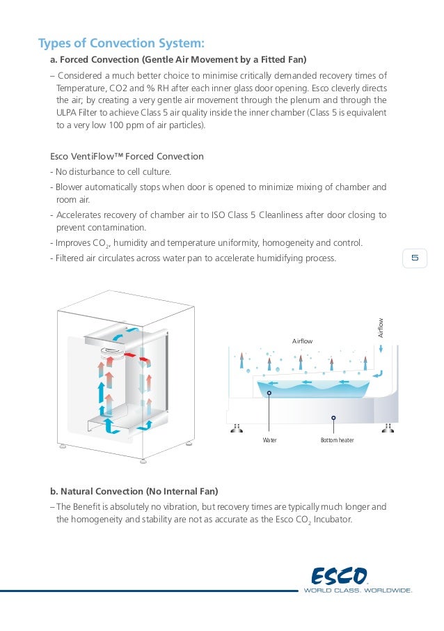Choosing a Laboratory CO2 Incubator