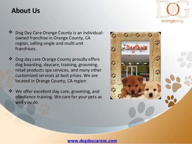 Best Dog Boarding In Orange County Best Dog Boarding In Orange County