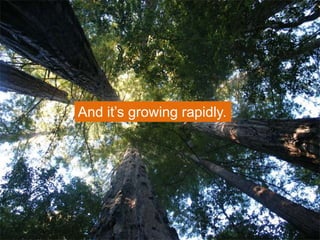 And it’s growing rapidly.
 