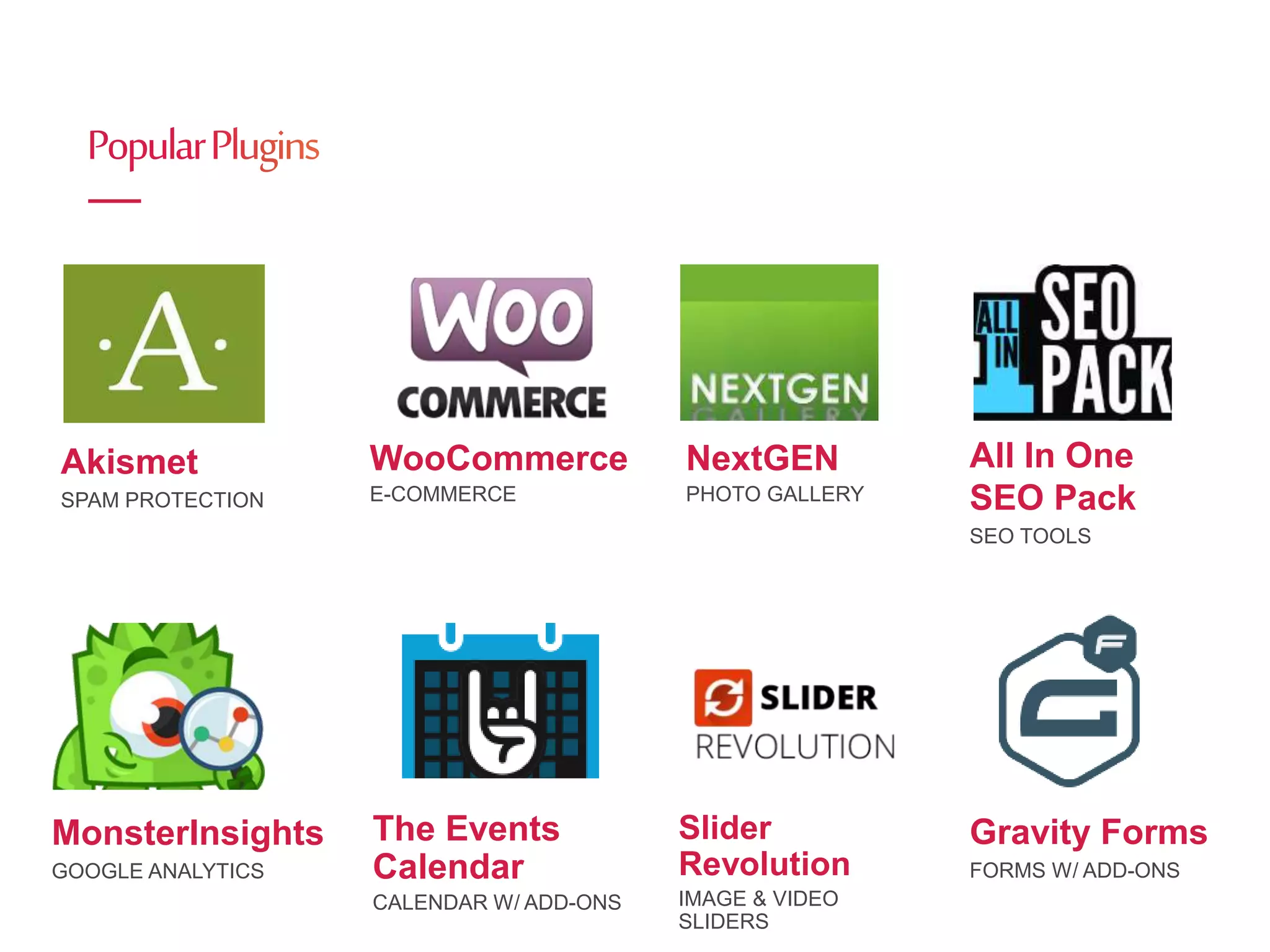 Akismet
SPAM PROTECTION
WooCommerce
E-COMMERCE
NextGEN
PHOTO GALLERY
All In One
SEO Pack
SEO TOOLS
MonsterInsights
GOOGLE ANALYTICS
The Events
Calendar
CALENDAR W/ ADD-ONS
Slider
Revolution
IMAGE & VIDEO
SLIDERS
Gravity Forms
FORMS W/ ADD-ONS
 