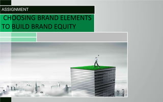 ASSIGNMENT

CHOOSING BRAND ELEMENTS
TO BUILD BRAND EQUITY

 