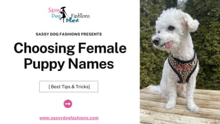 Choosing Female
Puppy Names
SASSY DOG FASHIONS PRESENTS
[ Best Tips & Tricks]
www.sassydogfashions.com
 