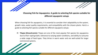 Choosing Fish for Aquaponics: A guide to selecting fish species suitable for
different aquaponic setups
When choosing fish for aquaponics, it is essential to consider their adaptability to the system,
growth rates, water quality requirements, and compatibility with the chosen plants. Here's a
guide to selecting fish species suitable for different aquaponic setups:
➔ Tilapia (Oreochromis): Tilapia are one of the most popular fish species for aquaponics
due to their rapid growth, tolerance to varying water conditions, and ability to consume
a wide range of feed types. They thrive in warm water and are well-suited for larger
commercial systems.
 