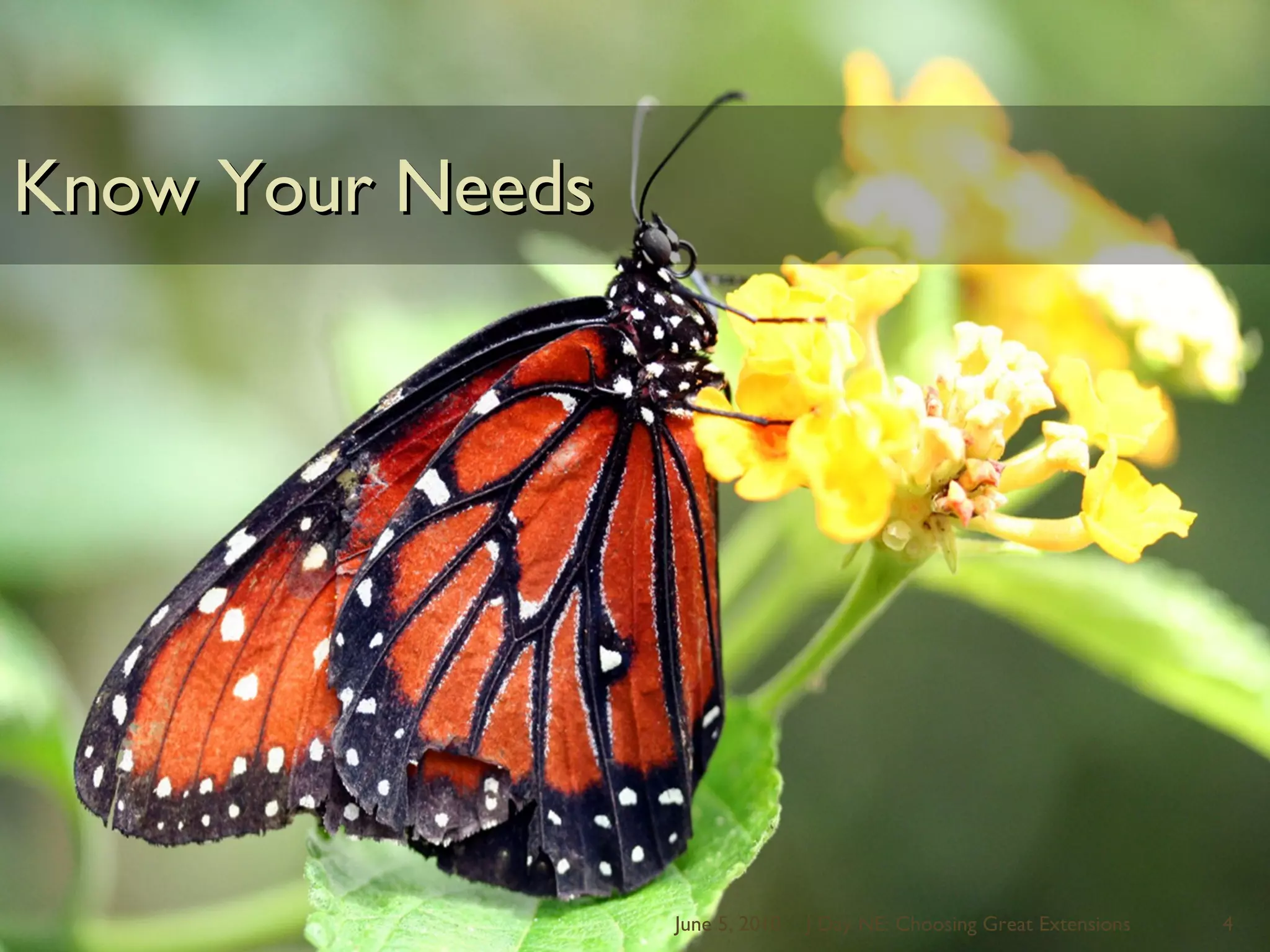 Know Your NeedsJune 5, 2010J Day NE: Choosing Great Extensions4