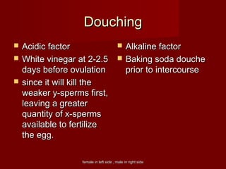 female in left side , male in right sidefemale in left side , male in right side
DouchingDouching
 Acidic factorAcidic factor
 White vinegar at 2-2.5White vinegar at 2-2.5
days before ovulationdays before ovulation
 since it will kill thesince it will kill the
weaker y-sperms first,weaker y-sperms first,
leaving a greaterleaving a greater
quantity of x-spermsquantity of x-sperms
available to fertilizeavailable to fertilize
the egg.the egg.
 Alkaline factorAlkaline factor
 Baking soda doucheBaking soda douche
prior to intercourseprior to intercourse
 