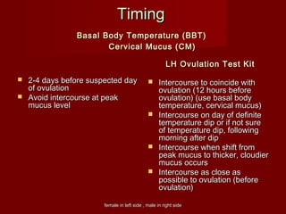 female in left side , male in right sidefemale in left side , male in right side
TimingTiming
Basal Body Temperature (BBT)Basal Body Temperature (BBT)
Cervical Mucus (CM)Cervical Mucus (CM)
LH Ovulation Test KitLH Ovulation Test Kit
 2-4 days before suspected day2-4 days before suspected day
of ovulationof ovulation
 Avoid intercourse at peakAvoid intercourse at peak
mucus levelmucus level
 Intercourse to coincide withIntercourse to coincide with
ovulation (12 hours beforeovulation (12 hours before
ovulation) (use basal bodyovulation) (use basal body
temperature, cervical mucus)temperature, cervical mucus)
 Intercourse on day of definiteIntercourse on day of definite
temperature dip or if not suretemperature dip or if not sure
of temperature dip, followingof temperature dip, following
morning after dipmorning after dip
 Intercourse when shift fromIntercourse when shift from
peak mucus to thicker, cloudierpeak mucus to thicker, cloudier
mucus occursmucus occurs
 Intercourse as close asIntercourse as close as
possible to ovulation (beforepossible to ovulation (before
ovulation)ovulation)   
 