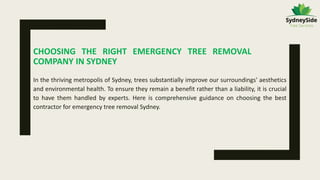 CHOOSING THE RIGHT EMERGENCY TREE REMOVAL
COMPANY IN SYDNEY
In the thriving metropolis of Sydney, trees substantially improve our surroundings' aesthetics
and environmental health. To ensure they remain a benefit rather than a liability, it is crucial
to have them handled by experts. Here is comprehensive guidance on choosing the best
contractor for emergency tree removal Sydney.
 