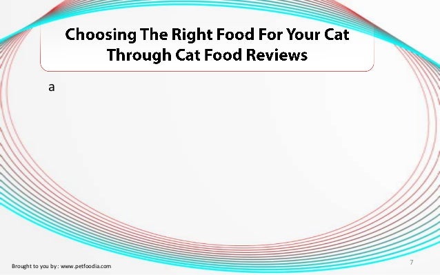 Great Choice Dry Cat Food Great Choice Dry Cat Food