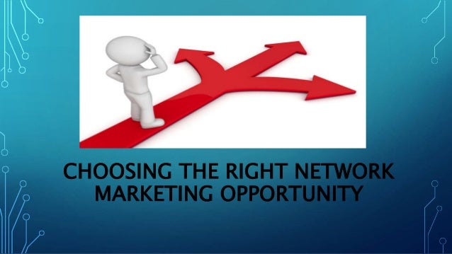 MLM Business Opportunity