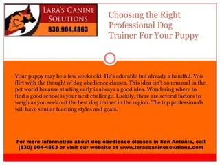 Choosing the Right
Professional Dog
Trainer For Your Puppy
For more information about dog obedience classes in San Antonio, call
(830) 904-4863 or visit our website at www.larascaninesolutions.com
Your puppy may be a few weeks old. He's adorable but already a handful. You
flirt with the thought of dog obedience classes. This idea isn't so unusual in the
pet world because starting early is always a good idea. Wondering where to
find a good school is your next challenge. Luckily, there are several factors to
weigh as you seek out the best dog trainer in the region. The top professionals
will have similar teaching styles and goals.
 