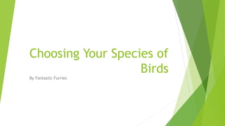 Choosing Your Species of
Birds
By Fantastic Furries
 