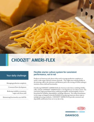 Flexible starter culture system for consistent
performance, vat to vat
Producers of American style cheeses often need to manage production complexity to
satisfy a wide range of desired customer demands. This might mean making cheddar in
the morning, colby in the afternoon and Monterey jack in the evening, all while seeking to
maximize cheese yield and functionality.
Introducing CHOOZIT® AMERI-FLEX, for American style cheese, including cheddar,
colby, and jack. CHOOZIT® AMERI-FLEX is a one-bag direct to vat culture system. The
convenient single pouch blend of fast acidifying mesophilic and thermophilic strains is
formulated for reliability, dependability, and phage robustness. Two robust formulations
in this range are designed to provide flexibility for producing American cheese types in
multiple processing conditions. CHOOZIT® AMERI-FLEX provides consistent and
dependable acidification from vat to vat, day to day.
Your daily challenge
Managing production complexity
Consistent flavor development
Reducing variability on moisture
targets and cheese yield
Maintaining functionality over shelf life
CHOOZIT®
AMERI-FLEX
 