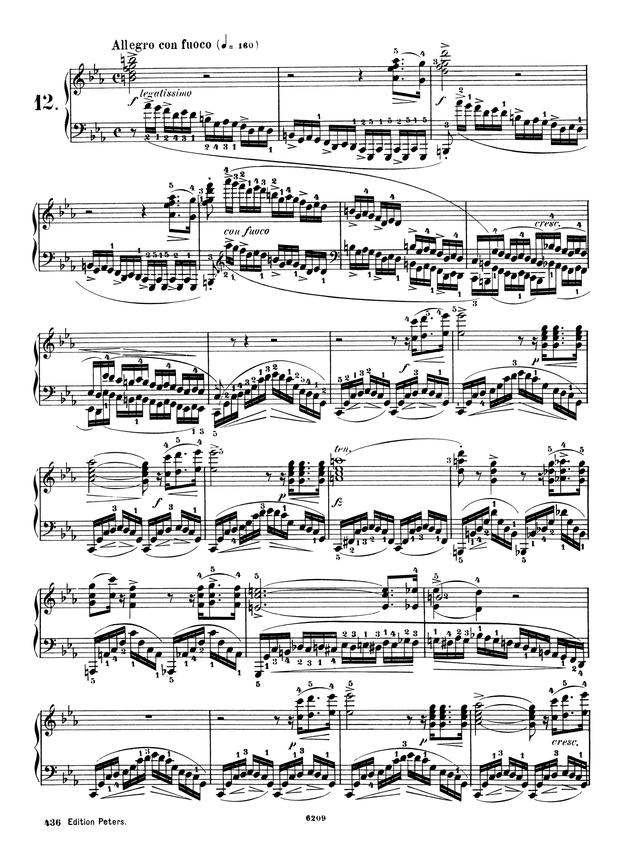 Chopin Estudios Op 10 (editorial peter).pdf