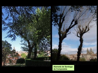 Xardíns Méndez Núñez
(A Coruña)
 