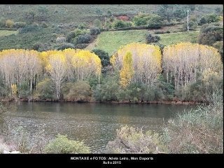 MONTAXE e FOTOS: Adela Leiro, Mon Daporta
Xullo 2015
 