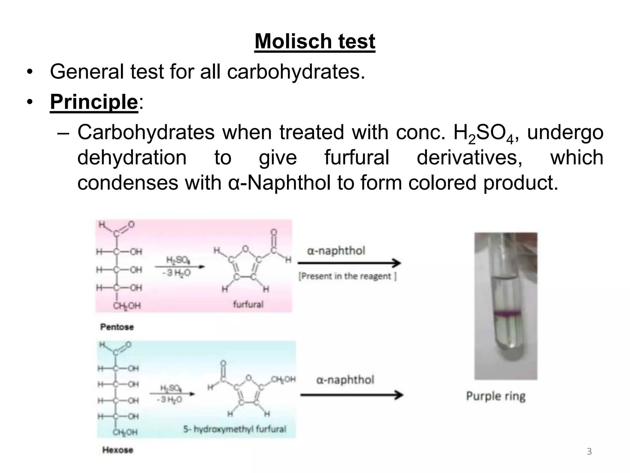 Carbohydrate practical | PPTX