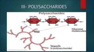 CHO presentation.ppt