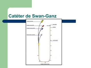 Catéter de Swan-Ganz
 