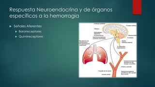 Respuesta Neuroendocrina y de órganos
específicos a la hemorragia
 Señales Aferentes
 Barorreceptores
 Quimirreceptores
 