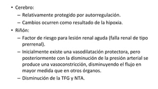 •
–
–
•
–
–
–