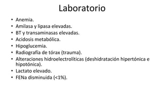 •
•
•
•
•
•
•
•
•