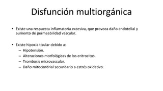 •
•
–
–
–
–