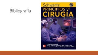 Bibliografía
 