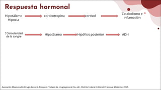 Respuesta hormonal
Hipotálamo corticotropina cortisol
Catabolismo e
inﬂamación
Hipoxia
↑Osmolaridad
de la sangre
Hipófisis posterior
Hipotálamo ADH
Asociación Mexicana De Cirugía General, Proquest. Tratado de cirugía general (3a. ed.). Distrito Federal: Editorial El Manual Moderno; 2017.
 