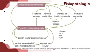 1. Schwartz SI, F Charles Brunicardi, Andersen DK, Al E. Principios de cirugía. 10th ed. México, D.F.: Mcgraw-Hill Interamericana; 2015.
Fisiopatología
Hipoxia:
iNOS
TNF
PGD
 