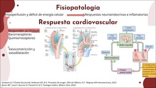 Fisiopatología
Hipoperfusión y déficit de energía celular Respuestas neuroendocrinas e inflamatorias
Responden al choque:
Barorreceptores
Quimiorreceptores
1. Schwartz SI, F Charles Brunicardi, Andersen DK, Al E. Principios de cirugía. 10th ed. México, D.F.: Mcgraw-Hill Interamericana; 2015.
2. Boron WF, Louis E, Buccino G, Possenti R, Al E. Fisiologia medica. Milano: Edra; 2018.
Respuesta cardiovascular
Vasoconstricción y
vasodilatación
 