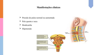 Manifestações clínicas
 Pressão de pulso normal ou aumentada
 Pele quente e seca
 Bradicardia
 Hipotensão
 