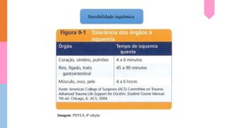 Sensibilidade isquêmica
Imagem: PHTLS, 8ª edição
 