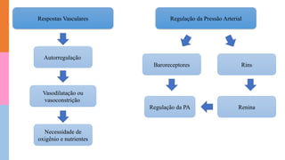 Respostas Vasculares
Autorregulação
Vasodilatação ou
vasoconstrição
Necessidade de
oxigênio e nutrientes
Baroreceptores Rins
Renina
Regulação da PA
Regulação da Pressão Arterial
 