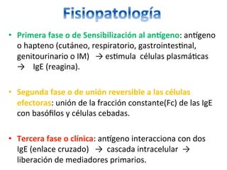 •  Primera	fase	o	de	Sensibilización	al	anKgeno:	anXgeno	
o	hapteno	(cutáneo,	respiratorio,	gastrointes/nal,	
genitourinario	o	IM)			→	es/mula		células	plasmá/cas				
→				IgE	(reagina).	
		
•  Segunda	fase	o	de	unión	reversible	a	las	células	
efectoras:	unión	de	la	fracción	constante(Fc)	de	las	IgE	
con	basóﬁlos	y	células	cebadas.	
	
•  Tercera	fase	o	clínica:	anXgeno	interacciona	con	dos	
IgE	(enlace	cruzado)			→		cascada	intracelular		→		
liberación	de	mediadores	primarios.	
 