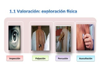Inspección		 Palpación	 Percusión		 Auscultación	
 