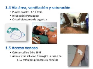 •  Puntas	nasales		3-5	L	/min		
•  Intubación	orotraqueal	
•  Crico/roidotomía	de	urgencia	
•  Catéter	calibre	14	o	16	G	
•  Administrar	solución	ﬁsiológica		a	razón	de	
											5-10	ml/kg	los	primeros	10	minutos		
 