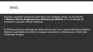 RINS
 Quando a pressão sanguínea está baixa nos capilares renais, os rins ativam
o Sistema Renina Angiostensina Aldosterona (SRAA) com a finalidade de
aumentar a pressão arterial sistêmica.
 O SRAA promove a retenção de sódio através dos rins e vasoconstricção periférica.
Maiores quantidades de sódio no sangue aumentam a volemia pois o sódio atrai
moléculas de água.
 