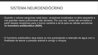 SISTEMA NEUROENDÓCRINO
 Quando o volume sanguíneo está baixo, receptores localizados no átrio esquerdo e
nos grandes vasos pulmonares são ativados. Por sua vez, sinais são enviados a
partir desses receptores para o tronco cerebral e de lá para as células secretoras
de hormônio antidiurético (ADH).
 O hormônio antidiurético atua sobre os rins aumentando a retenção de água com a
finalidade de elevar a pressão arterial e corrigir o choque.

 