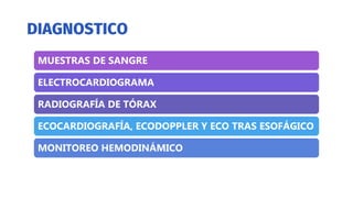 MUESTRAS DE SANGRE
ELECTROCARDIOGRAMA
RADIOGRAFÍA DE TÓRAX
ECOCARDIOGRAFÍA, ECODOPPLER Y ECO TRAS ESOFÁGICO
MONITOREO HEMODINÁMICO
 