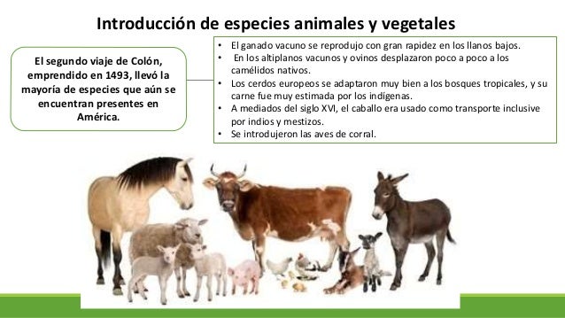 Choque cultural en la conquista de América